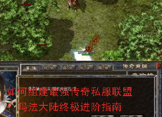 如何组建最强传奇私服联盟?玛法大陆终极进阶指南 如何组建最强传奇私服联盟?玛法大陆终极进阶指南