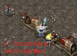 沙巴克血战制胜秘诀?如何成为最终赢家? 沙巴克血战制胜秘诀?如何成为最终赢家?