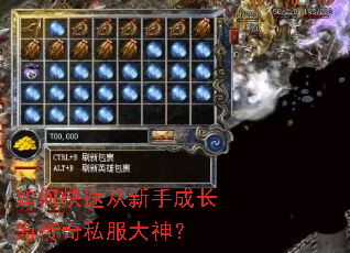 如何快速从新手成长为传奇私服大神? 如何快速从新手成长为传奇私服大神?