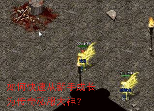 如何快速从新手成长为传奇私服大神? 如何快速从新手成长为传奇私服大神?