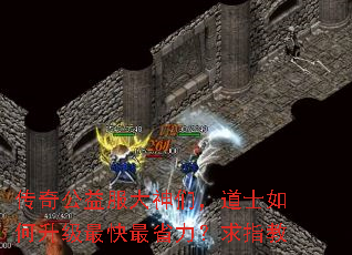 传奇公益服大神们,道士如何升级最快最省力?求指教 传奇公益服大神们,道士如何升级最快最省力?求指教