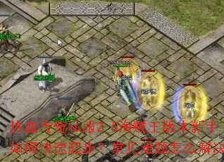 热血传奇私服2.5海贼王版本新手如何快速起步?常见难题怎么解决? 热血传奇私服2.5海贼王版本新手如何快速起步?常见难题怎么解决?