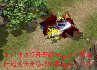 如何快速提升等级与装备?玛法大陆超变传奇私服制胜秘籍大公开 如何快速提升等级与装备?玛法大陆超变传奇私服制胜秘籍大公开