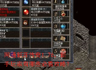 网通新开传奇1.76,新手玩家有哪些必看攻略? 网通新开传奇1.76,新手玩家有哪些必看攻略?