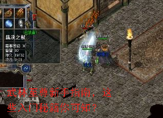 武林至尊新手指南,这些入门秘籍你可知? 武林至尊新手指南,这些入门秘籍你可知?