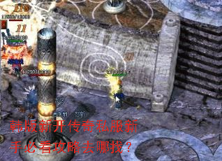 韩版新开传奇私服新手必看攻略去哪找? 韩版新开传奇私服新手必看攻略去哪找?