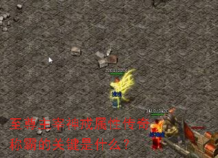 至尊主宰神戒属性传奇称霸的关键是什么? 至尊主宰神戒属性传奇称霸的关键是什么?