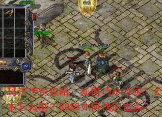 玛法传奇攻略:如何巧妙卡级?幻境副本怎么刷?BOSS如何快速击杀? 玛法传奇攻略:如何巧妙卡级?幻境副本怎么刷?BOSS如何快速击杀?
