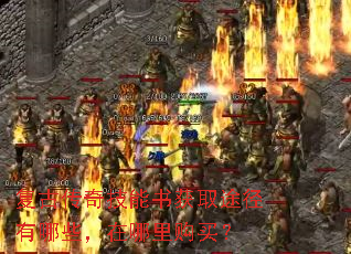 复古传奇技能书获取途径有哪些,在哪里购买? 复古传奇技能书获取途径有哪些,在哪里购买?