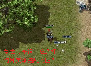 复古传奇道士应选择何种英雄搭配制胜? 复古传奇道士应选择何种英雄搭配制胜?