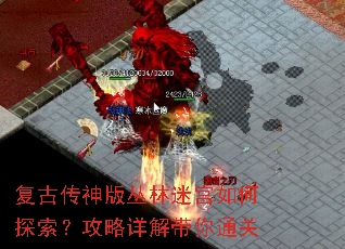���Ŵ��������Թ����̽��������������ͨ��