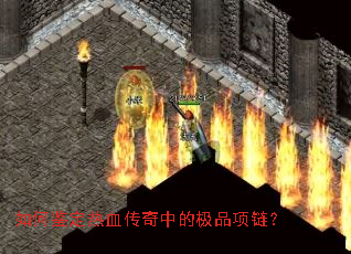 ��μ�����Ѫ�����еļ�Ʒ������