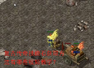 ���Ŵ��漼��ʯ��ȡ��������Щ��Ƶ��ѧ��