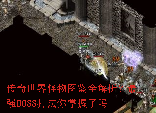�����������ͼ��ȫ��������ǿBOSS������������