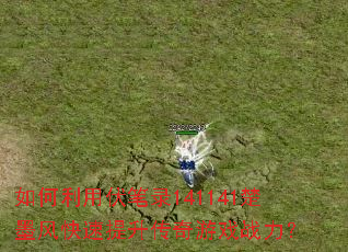 ������÷���¼141141��ī���������������Ϸս����
