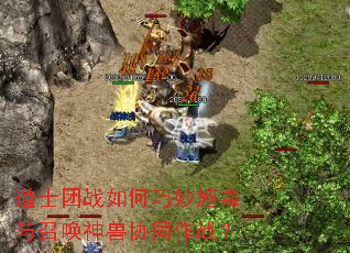 ��ʿ��ս�������ʩ�����ٻ�����Эͬ��ս��