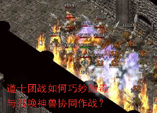 ��ʿ��ս�������ʩ�����ٻ�����Эͬ��ս��
