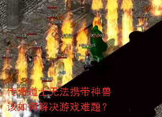 传奇道士无法携带神兽该如何解决游戏难题? 传奇道士无法携带神兽该如何解决游戏难题?