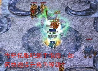 传奇私服吧新手指南:如何快速提升角色等级? 传奇私服吧新手指南:如何快速提升角色等级?