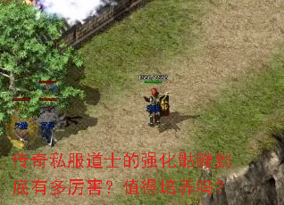 传奇私服道士的强化骷髅到底有多厉害?值得培养吗? 传奇私服道士的强化骷髅到底有多厉害?值得培养吗?