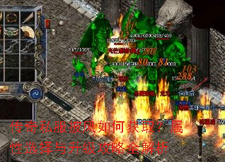 传奇私服披风如何获取?属性选择与升级攻略全解析 传奇私服披风如何获取?属性选择与升级攻略全解析