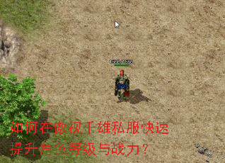 如何在傲视千雄私服快速提升角色等级与战力? 如何在傲视千雄私服快速提升角色等级与战力?