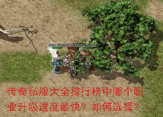 传奇私服大全排行榜中哪个职业升级速度最快?如何选择? 传奇私服大全排行榜中哪个职业升级速度最快?如何选择?