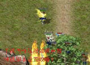 手机传奇私服如何高效挂机脚本设置攻略? 手机传奇私服如何高效挂机脚本设置攻略?