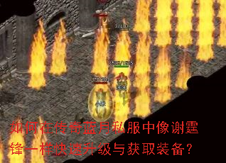 如何在传奇蓝月私服中像谢霆锋一样快速升级与获取装备? 如何在传奇蓝月私服中像谢霆锋一样快速升级与获取装备?