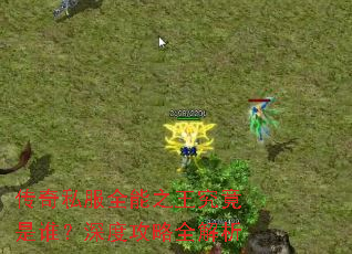 传奇私服全能之王究竟是谁?深度攻略全解析 传奇私服全能之王究竟是谁?深度攻略全解析