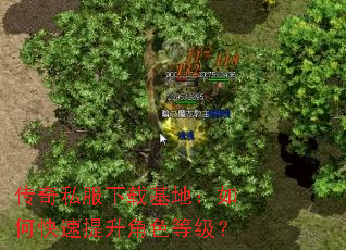 传奇私服下载基地:如何快速提升角色等级? 传奇私服下载基地:如何快速提升角色等级?