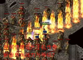 如何快速提升手机传奇新服角色战力与等级? 如何快速提升手机传奇新服角色战力与等级?