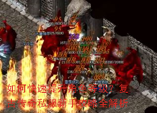 如何快速提升角色等级?复古传奇私服新手攻略全解析 如何快速提升角色等级?复古传奇私服新手攻略全解析