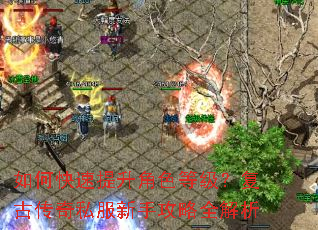 如何快速提升角色等级?复古传奇私服新手攻略全解析 如何快速提升角色等级?复古传奇私服新手攻略全解析
