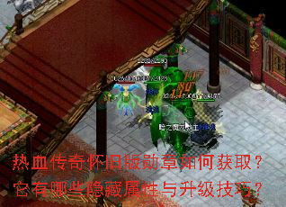 热血传奇怀旧版勋章如何获取?它有哪些隐藏属性与升级技巧? 热血传奇怀旧版勋章如何获取?它有哪些隐藏属性与升级技巧?