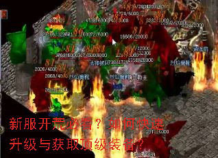 新服开荒必看?如何快速升级与获取顶级装备? 新服开荒必看?如何快速升级与获取顶级装备?