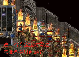 法师召唤宝宝时需注意哪些关键问题? 法师召唤宝宝时需注意哪些关键问题?