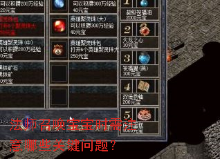 法师召唤宝宝时需注意哪些关键问题? 法师召唤宝宝时需注意哪些关键问题?