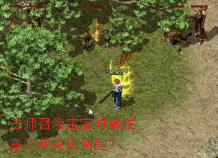 法师召唤宝宝时需注意哪些关键问题? 法师召唤宝宝时需注意哪些关键问题?