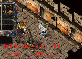 传奇私服回合制玩法有哪些?新手如何快速上手? 传奇私服回合制玩法有哪些?新手如何快速上手?