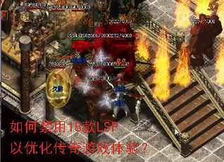 ��ν���18��LSP���Ż�������Ϸ���飿