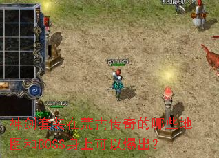 ����װ�ڻĹŴ������Щ��ͼ��BOSS���Ͽ��Ա�����