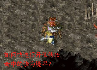 如何快速提升仙侠传奇中的修为境界? 如何快速提升仙侠传奇中的修为境界?