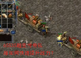 65535���䴫��˽����ο�������ս����