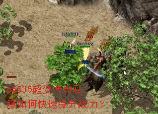 65535���䴫��˽����ο�������ս����
