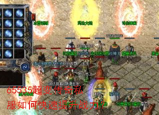 65535���䴫��˽����ο�������ս����