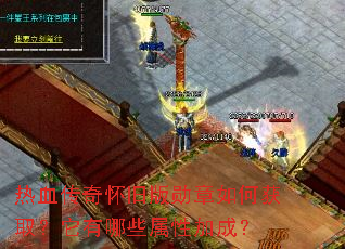 ��Ѫ���滳�ɰ�ѫ����λ�ȡ��������Щ���Լӳɣ�