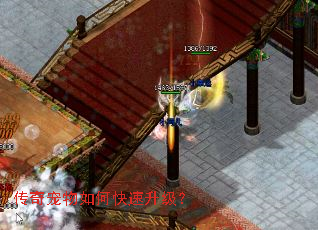 传奇宠物如何快速升级? 传奇宠物如何快速升级?