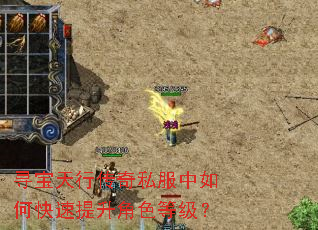 寻宝天行传奇私服中如何快速提升角色等级? 寻宝天行传奇私服中如何快速提升角色等级?