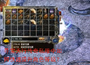 寻宝天行传奇私服中如何快速提升角色等级? 寻宝天行传奇私服中如何快速提升角色等级?